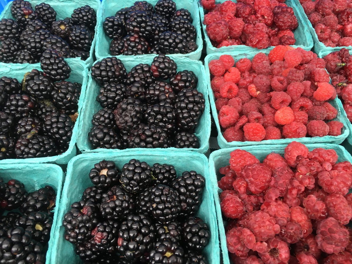 Perfectly Poached Fruit