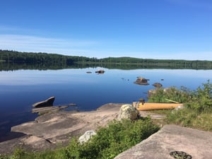 Eating Well in the Wild: A Guide to Campfire Cooking