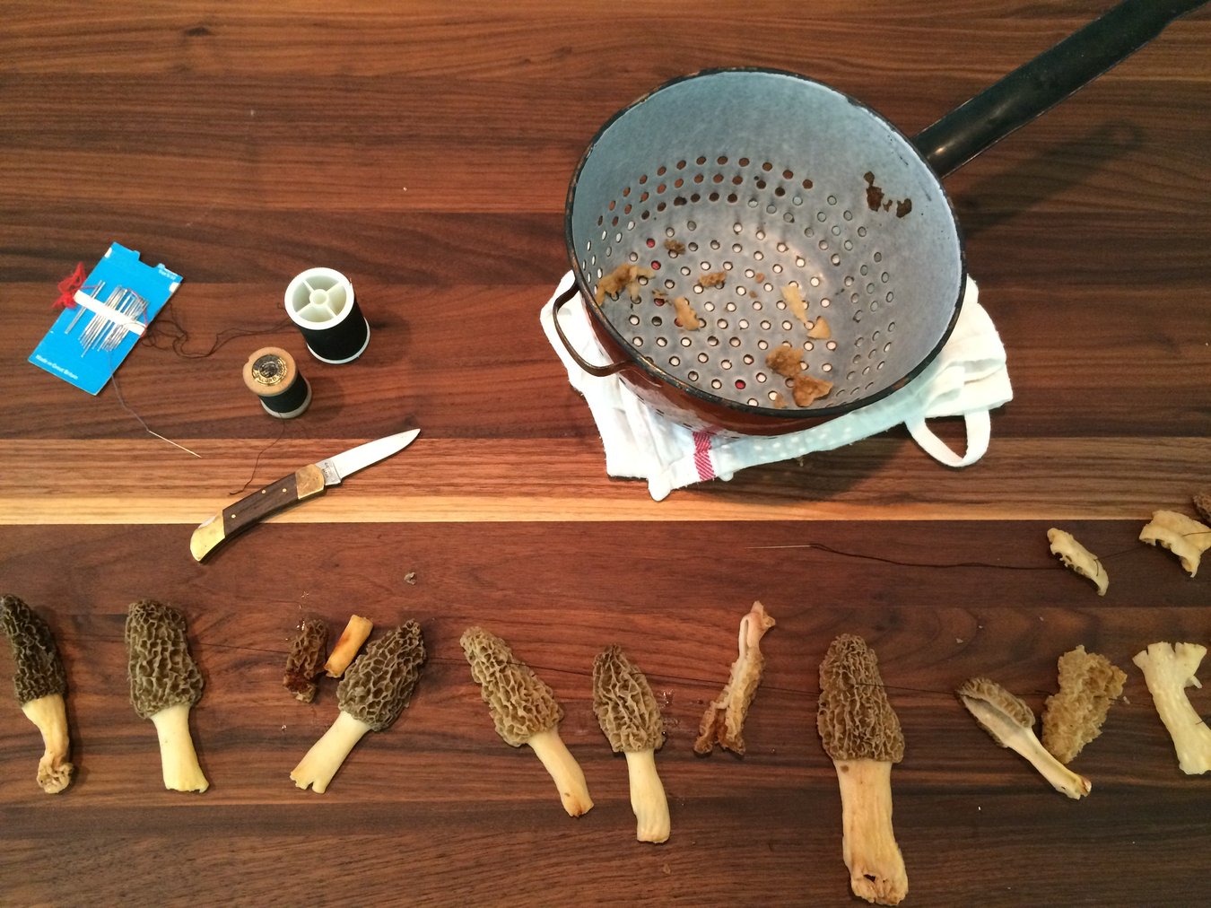 How to Dry and Preserve Morel Mushrooms