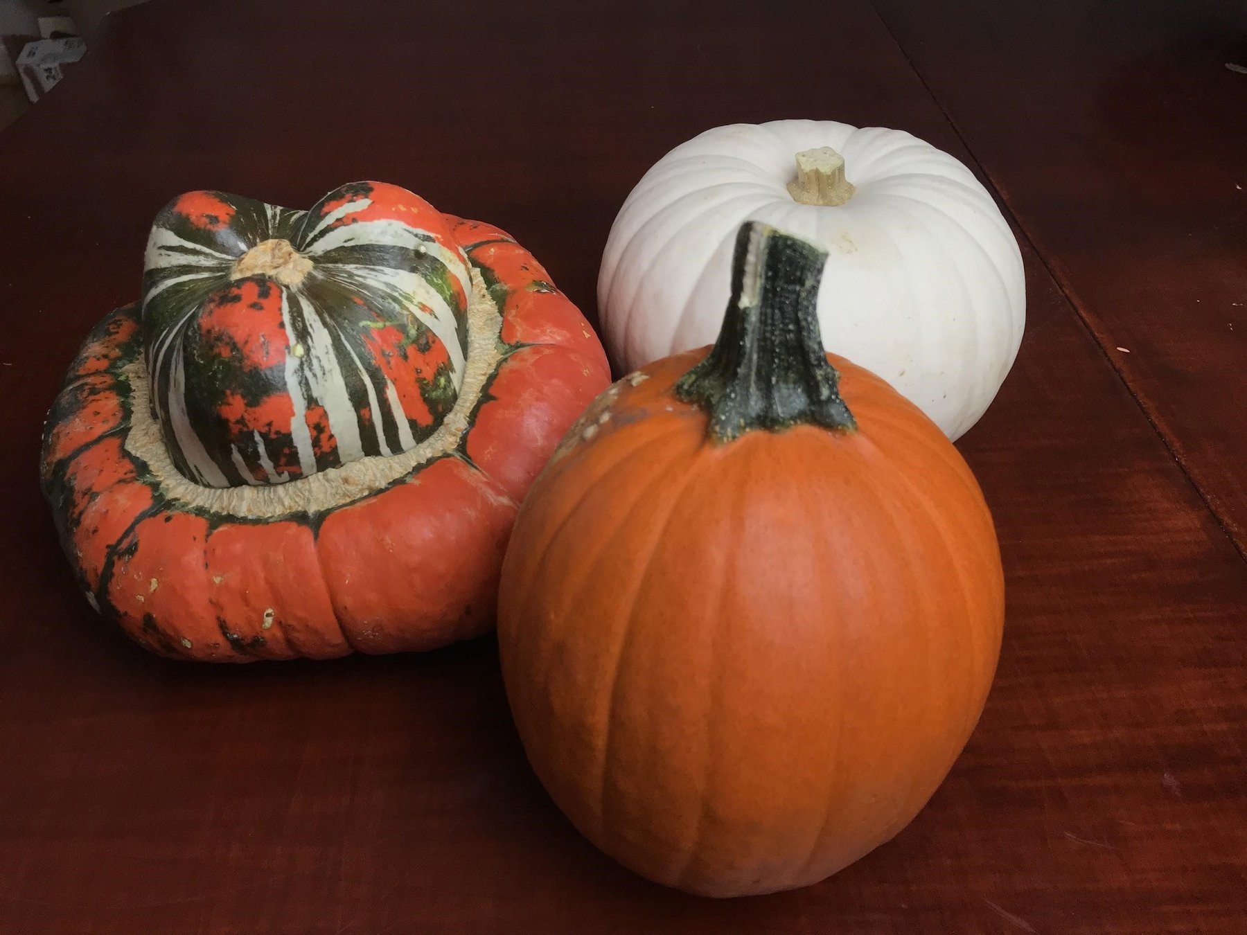Pumpkins 1 ?width=1800&name=pumpkins 1 