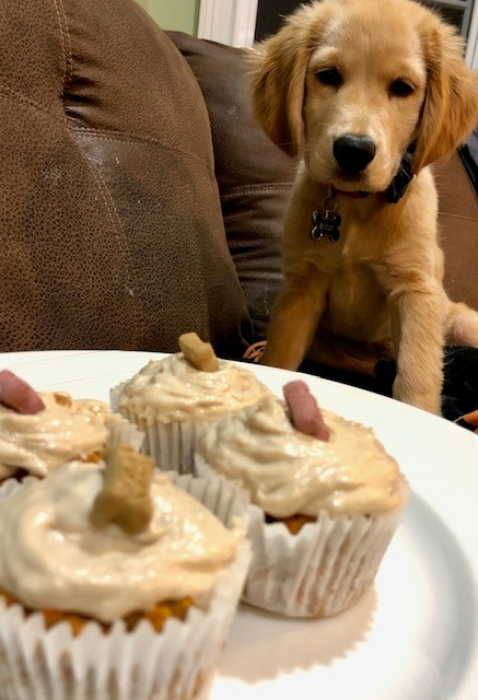 Pumpkin Peanut Butter Banana Pupcakes