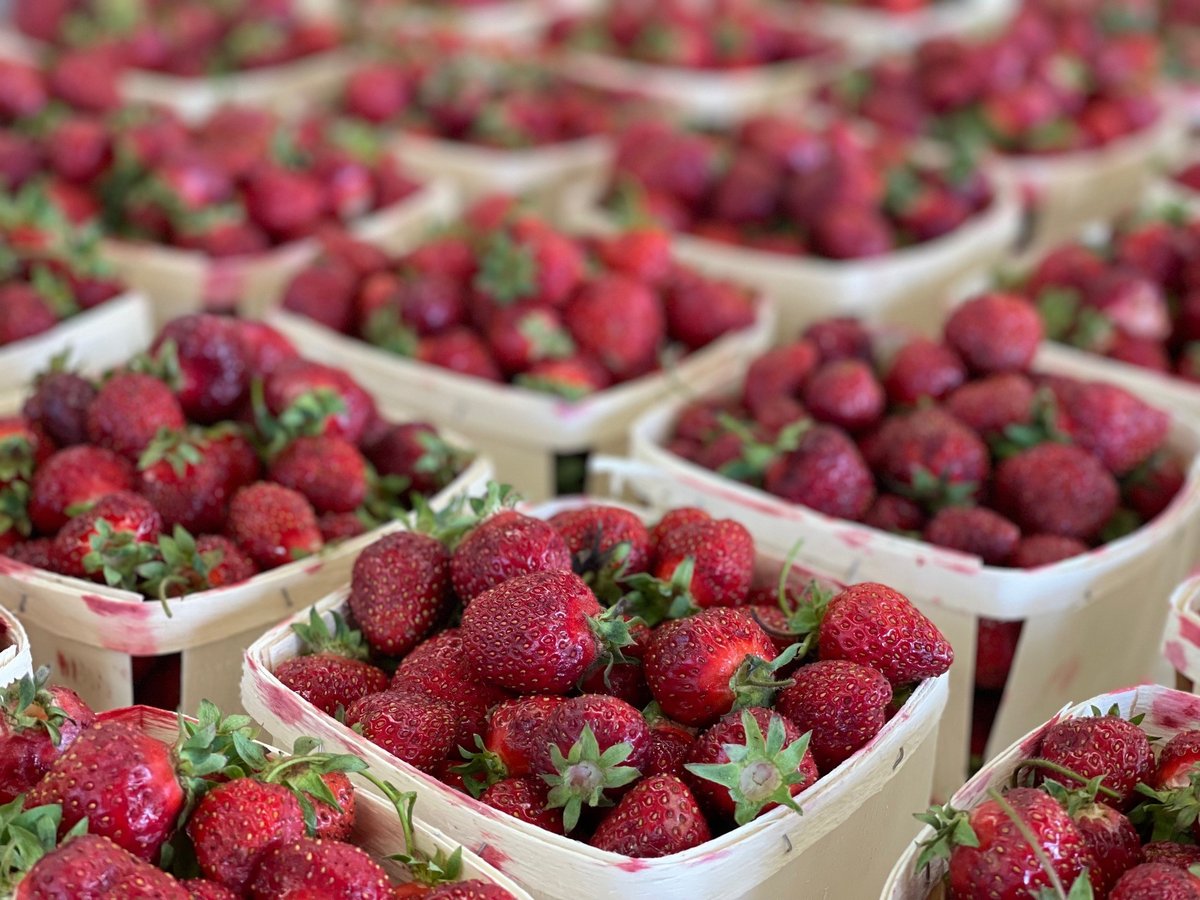 The Perfect Strawberry Pie