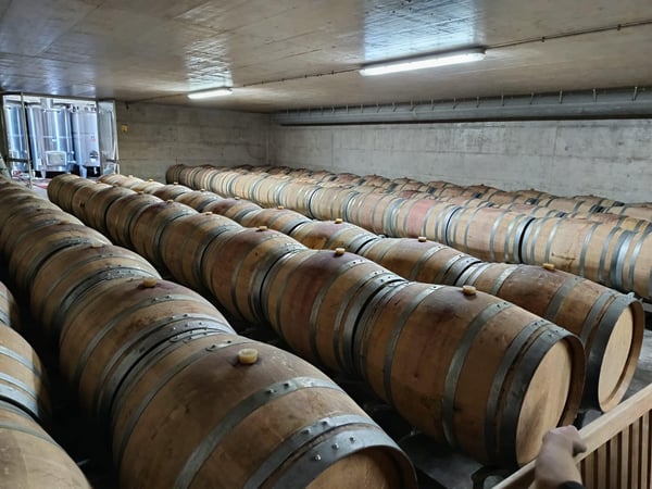 Sicily wine barrels