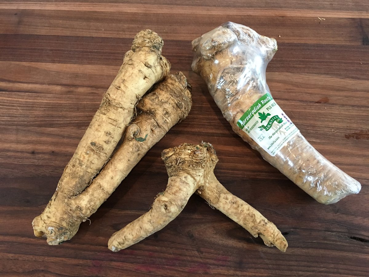 How to Grow Horseradish